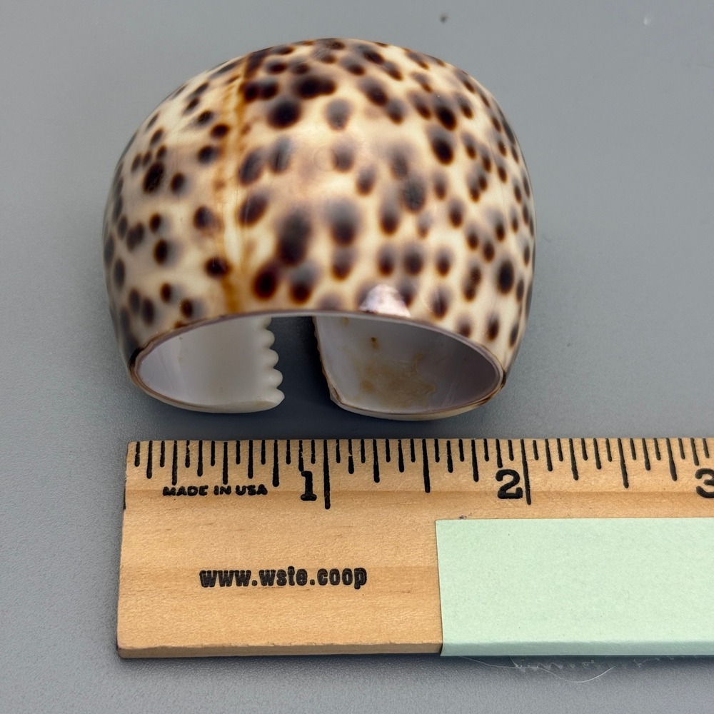 Tiger Cowrie Shell Napkin Rings Set of 6 Brown Spotted Coastal Good Condition